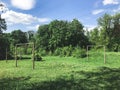 Small football field in the forest