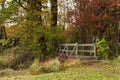 Small footbridge in autumn woods Royalty Free Stock Photo