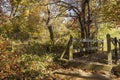 Small footbridge crosses a stream in autumn woods Royalty Free Stock Photo