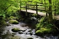 small footbridge over a babbling brook