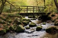 small footbridge over a babbling brook