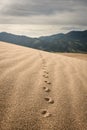 Small Footsteps Across Sand Royalty Free Stock Photo