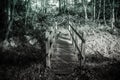 Small forest bridge over water in black and white Royalty Free Stock Photo