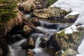 Small forest creek in winter Royalty Free Stock Photo