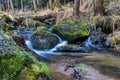 Small forest creek in a woodland Royalty Free Stock Photo