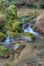 Small forest creek in a woodland Royalty Free Stock Photo