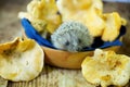 A small forest hedgehog and mushrooms Royalty Free Stock Photo