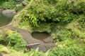 Small forest puddle swamp, lake or pond in park with a reflectio Royalty Free Stock Photo