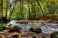 Small forest river Royalty Free Stock Photo