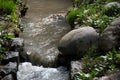 A small forest rivulet