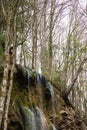 Small forest waterfall in Gorges de la Jogne river canyon in Broc, Switzerland Royalty Free Stock Photo