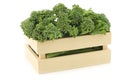 A small form of broccoli, called bimi, in a wooden box Royalty Free Stock Photo