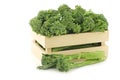 A small form of broccoli, called bimi, in a wooden box Royalty Free Stock Photo