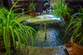 A small fountain hid between the room flowers.