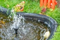 Small decorative fountain in a green garden