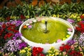 Small fountains and flowers