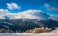 Small fragile tree covered with hoarfrost lonely grows Royalty Free Stock Photo