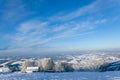 Small fragile tree covered with hoarfrost lonely grows Royalty Free Stock Photo