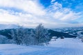 Small fragile tree covered with hoarfrost lonely grows Royalty Free Stock Photo