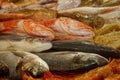 Small fresh fish in the covered market Royalty Free Stock Photo