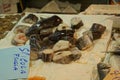 Small fresh fish in the covered market