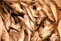 Small fresh fish on store counter Royalty Free Stock Photo