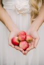Small fresh red apples in the hands of a woman bride in a white dress Royalty Free Stock Photo