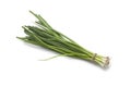 Small fresh spring onions Royalty Free Stock Photo