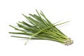 Small fresh spring onions Royalty Free Stock Photo