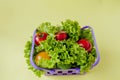 Small Fresh vegetables in basket on yellow background. Food background concept with copyspace Royalty Free Stock Photo