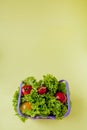 Small Fresh vegetables in basket on yellow background. Food background concept with copyspace Royalty Free Stock Photo