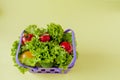 Small Fresh vegetables in basket on yellow background. Food background concept with copyspace Royalty Free Stock Photo