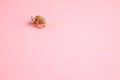 Small frog shaped fishing bait on a pink surface Royalty Free Stock Photo