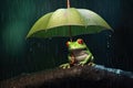 Small frog with umbrella Royalty Free Stock Photo