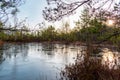 Small frozen lake surrounded with trees during winter in the Cenas swamp in Latvia Royalty Free Stock Photo