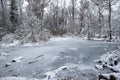 Small frozen pond in a snow covered forest in Switzerland, Europe. Wide angle, real time, no people Royalty Free Stock Photo