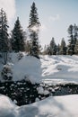 Small frozen river in a forest surrounded by trees covered in the snow under the sunlight Royalty Free Stock Photo