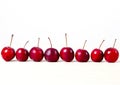 Small fruit red apples Ranetk Royalty Free Stock Photo