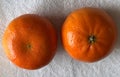 Small fruited Clementine marketed as ClemenGold, orange mandarin hybrid