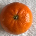 Small fruited Clementine marketed as ClemenGold, orange mandarin hybrid