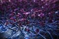 Small fuchsia flowers creeping along the ground on a dark blue background