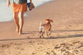 A small funny dog runs along the sea on the beach Royalty Free Stock Photo