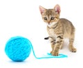 Small funny kitten and clew of thread .