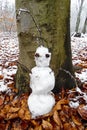 Small funny mini snowman on a tree in the forest. A little fresh snow on brown autumn leaves. The last snow in January. What was Royalty Free Stock Photo