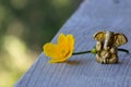 Small Ganesha figure with bright yellow flower. Beautiful Ganesh statue with open palm and blooming flower on wooden board. Royalty Free Stock Photo