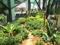 Small garden at KLIA2 airport in Kuala Lumpur, Malaysia