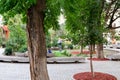 small garden on Lado Gudiashvili square in Tbilisi