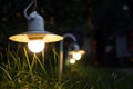 Small Garden Light, Lanterns In grass Bed. Garden Design. Luminarias and Christmas lights decorate a garden at night. Royalty Free Stock Photo