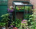 A small garden with little greenhouse in the city. Growing own flowers and plants and vegetables. Urban small botanical english ga