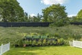 Small garden in plastic pots and pallet collars. Beautiful nature backgrounds